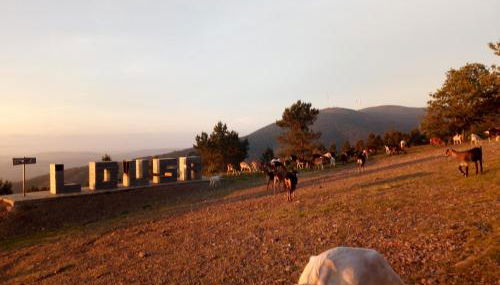 Casa do Pastor - Foto 4