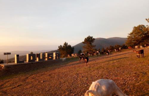 Casa da Esperança - Foto 32