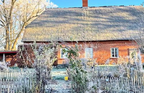 Kutscherremise Gut Niendorf - ABC592 - nur Feriengäste! - Foto 25