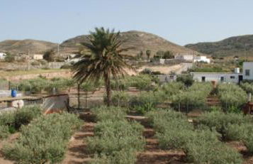 Casa Rural El Almendro - Foto 23