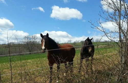 Casa Rural Mollo, Vall de Camprodon - Foto 55