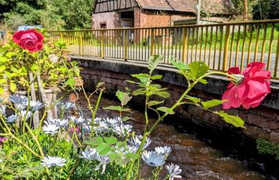 Domaine du KleinHammer - Foto 12