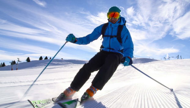 Excursão a Grindelwald com aula de esqui