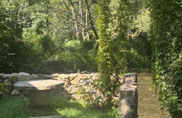 Le Moulin de Rochopt - Photo 50