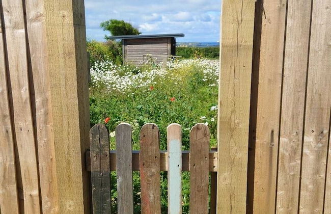 Watergate Lane Hideout - Foto 10