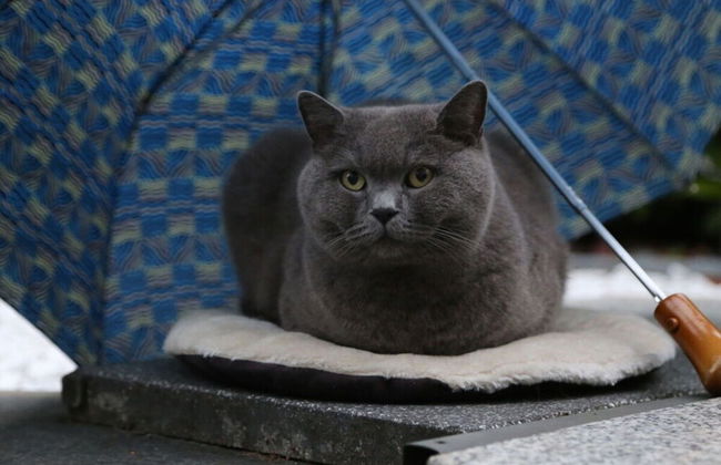 Ostseeliebe Comfortable Holiday Residence - Foto 11