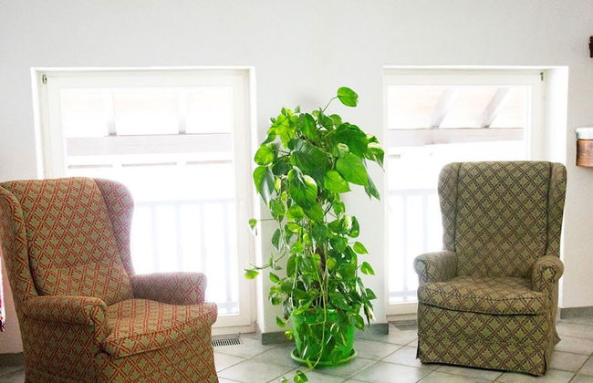 Schnyder Ranch - Foto 11