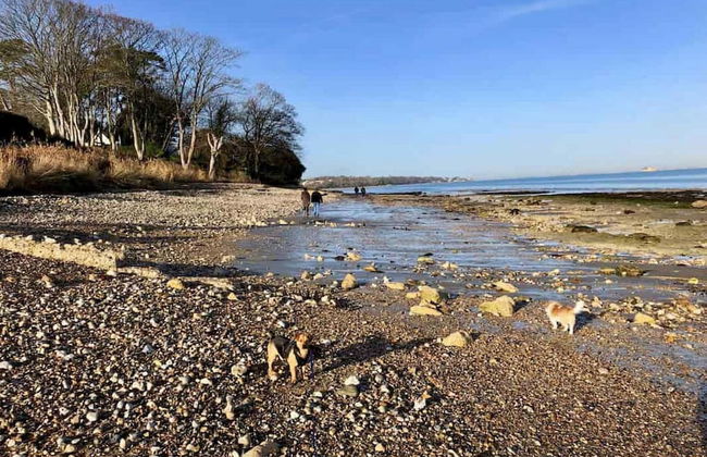 Blackberry Cottage in Bembridge - Foto 40