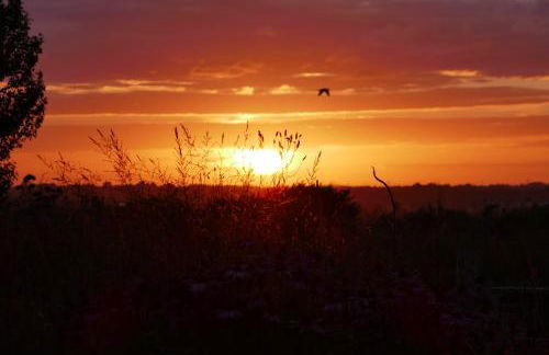 Hillside House - Foto 24