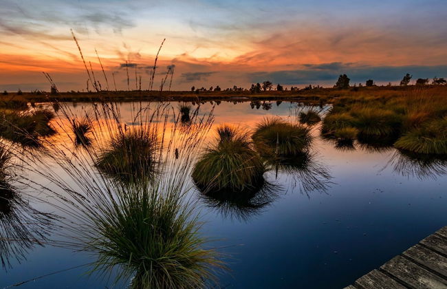 Spacious Holiday Home in Chodes With Sauna - Foto 27