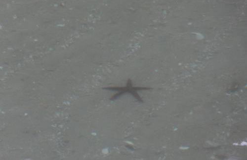 Casa Estrela do Mar - Foto 71