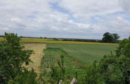 Hofgestüt Bleesern FEWO2 - Foto 23