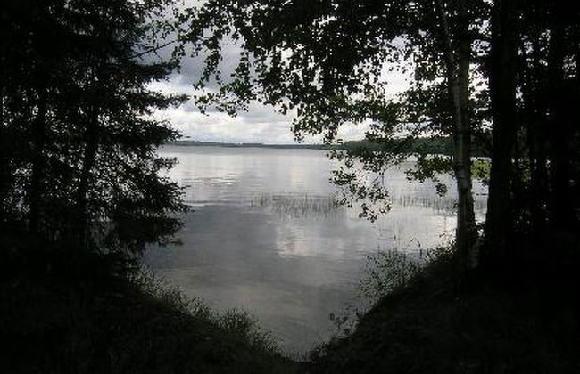 Niittymökki - Foto 16