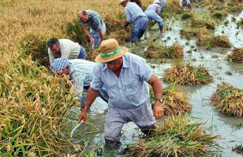 Allotjament turistic Casa Serral-Ocampo - Foto 51