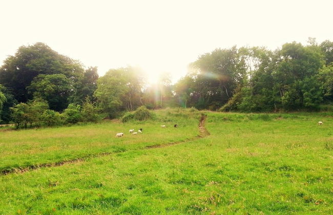 Burleigh House - Foto 32