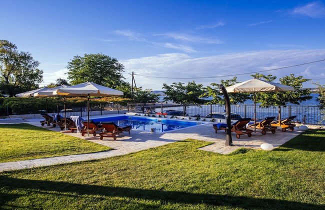 Dalmatian Pearls - Photo 59