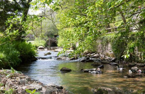 Watermill Cottages - 18th Century converted Mill 10 mins from beach - Foto 48