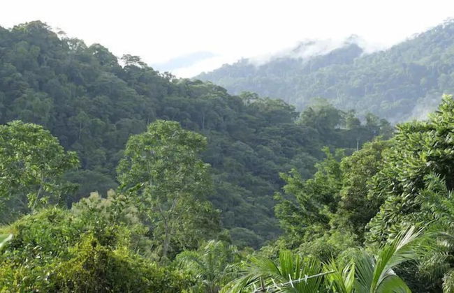 Pura Natura Lodge Arroyo - Foto 27