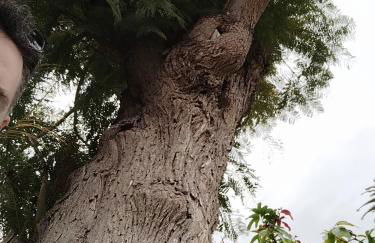 House Experience Villa Violeta - Foto 30