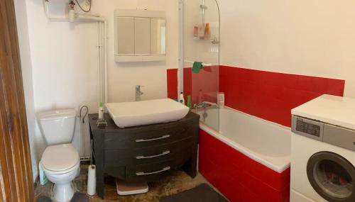 Chez Sigmund et Skywalker - Photo 4