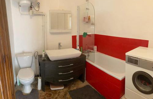 Chez Sigmund et Skywalker - Photo 4