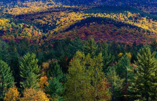 Modern Mtn Home*Pools*Fire Pit* - Foto 17