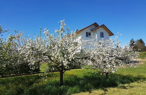Ferienwohnung Bühlingen - Foto 19