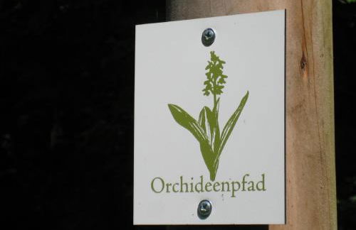 Dachgeflüster - Foto 24