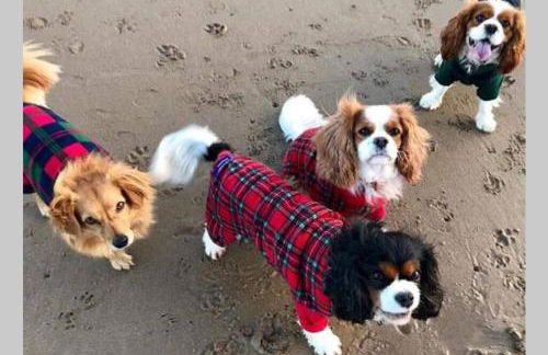 Waterside view - Foto 6