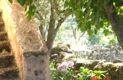 Quinta Do Marvao - Foto 42