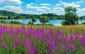 Luxus Ferienwohnung Chalet Seenähe - Foto 34