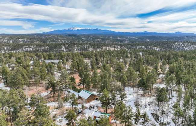 The Bear Den - Foto 69