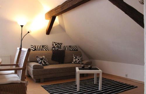 OG Die alte Stadtmühle direkt an der Flämingskate - Foto 11