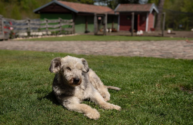 Osada Ulnowo - Foto 43