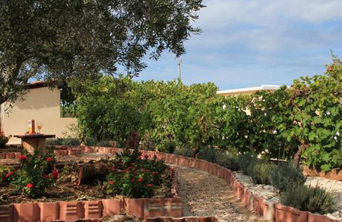 Orhideja Apartment - Foto 30