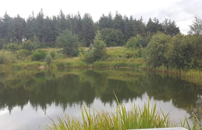 4 Person Holiday Home in Toftlund - Foto 31