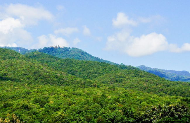 The Star Hill - Foto 40