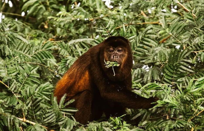 Anona Guesthouse - Foto 35