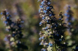 Le Case di Rosie, Tuscan Mountain View House, Pool - Foto 11