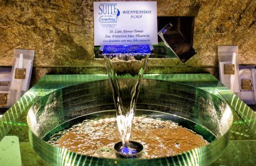 Suite Rural Carenas - Photo 70