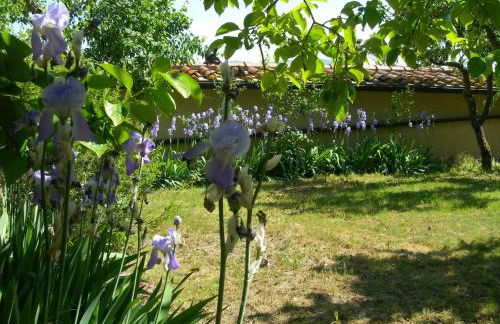 Cozy 2-bedroom Apartment - Foto 42