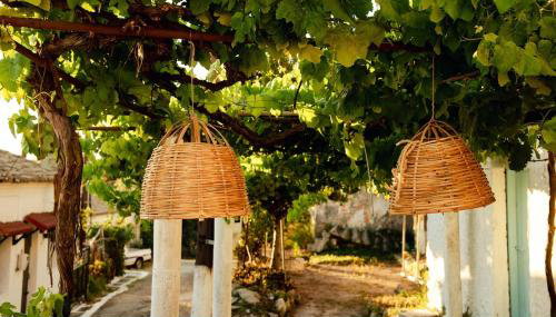 Villa Kalimoukos - Foto 5, Garden