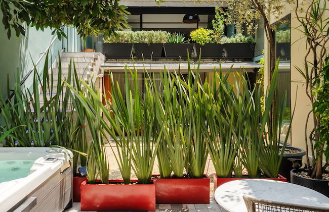 Upscale 4BR House in Condesa - Foto 66