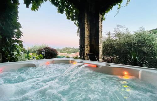 Le domaine des Oliviers ALES Piscine Jacuzzi Sauna - Foto 19