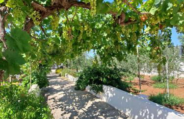 Villa Mele - Foto 61