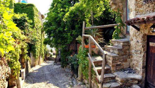 Albero Maestro on Bussana seaside - Foto 4