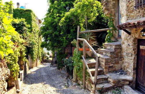 Albero Maestro on Bussana seaside - Foto 4