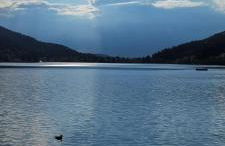 Le Petit Sapin - Foto 28