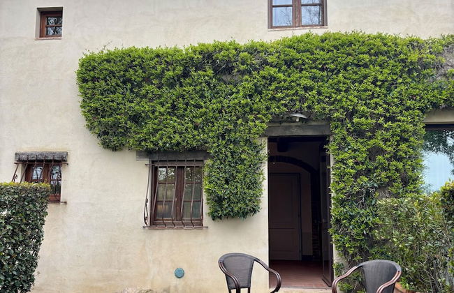 Tenuta Sant'Ilario - Foto 36