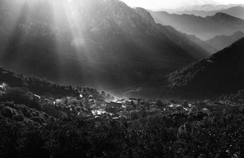 L'Alivi di l'Osari - Foto 18